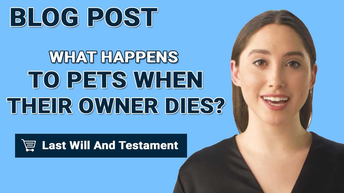 What Happens To Pets When Their Owner Dies?